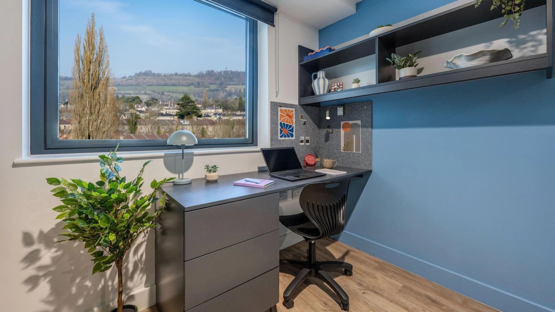 Premium Plus Studio
